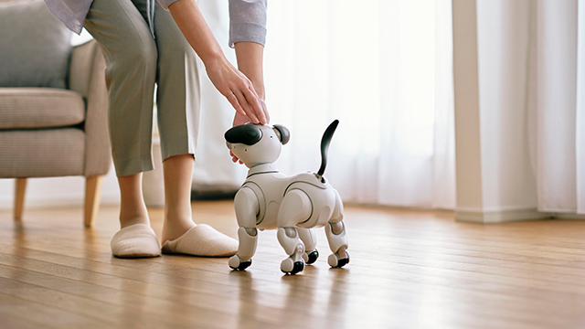 일상 속 aibo