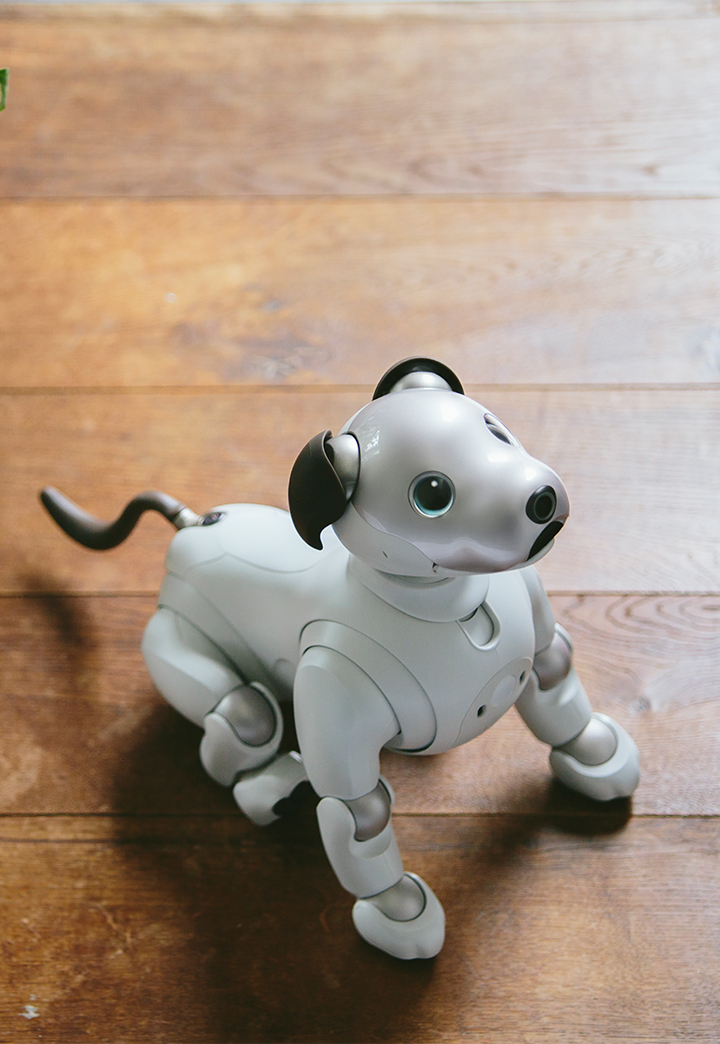 aibo · 공식 제품 이미지