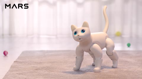 공식 MarsCat 소개 · 영상 장면