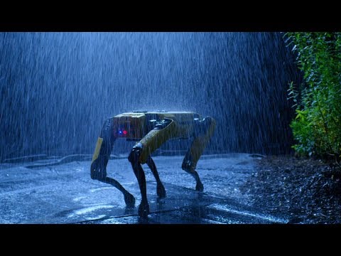 Spot 공식 출시 영상 · 2019 · 영상 장면